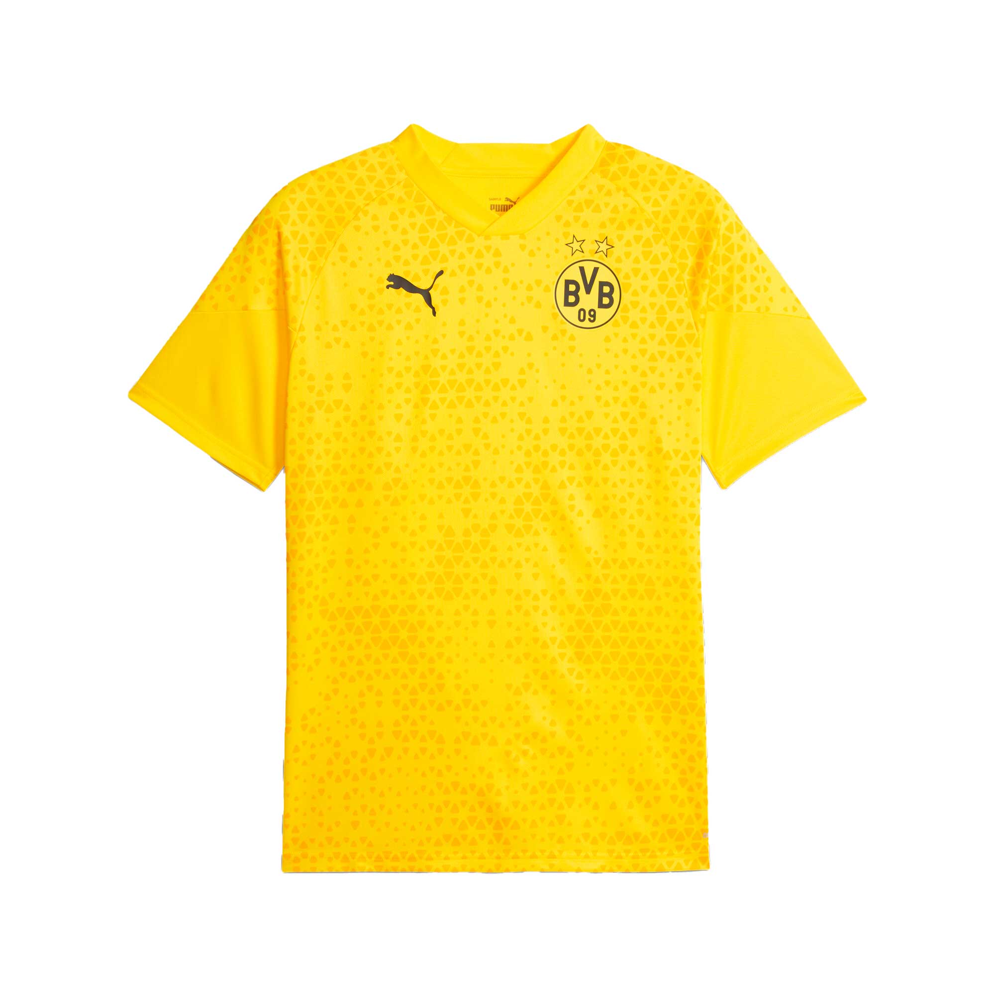 Borussia Dortmund Puma 2023/24 Training Authentic T-shirt - Yellow