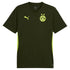 Borussia Dortmund Puma 2024/25 Training Authentic T-shirt - Green