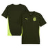 Borussia Dortmund Puma 2024/25 Training Authentic T-shirt - Green