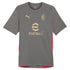 AC Milan Puma 2024/25 Training Authentic T-shirt - Gray