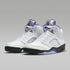 Air J 5 retro Shoe White