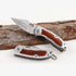 Browning F113: Compact Steel & Wood Pocket Hunting Knife