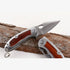 Browning F113: Compact Steel & Wood Pocket Hunting Knife