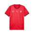 Switzerland National Team Fan Edition Football Jersey | Shop Switzerland National Team Soccer Shirt Online