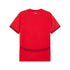 Switzerland National Team Fan Edition Football Jersey | Shop Switzerland National Team Soccer Shirt Online